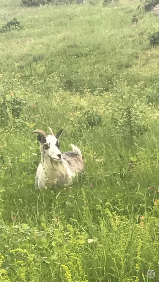 Yxefall Norrgarden Kisa Zewnętrze zdjęcie
